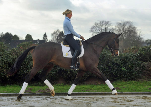 3jhriger Trakehner Hengst Grand Corazon v. Symont x Red Patrick xx geritten von Kira Ripphoff - Foto: Beate Langels - Trakehner Gestt Hmelschenburg