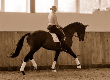 3jhriger Trakehner Hengst Grand Corazon v. Symont x Red Patrick xx geritten von Kira Ripphoff - Foto: Beate Langels - Trakehner Gestt Hmelschenburg