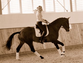 3jhriger Trakehner Hengst Grand Corazon v. Symont x Red Patrick xx geritten von Kira Ripphoff - Foto: Beate Langels - Trakehner Gestt Hmelschenburg