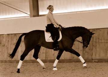 3jhriger Trakehner Hengst Grand Corazon v. Symont x Red Patrick xx geritten von Kira Ripphoff - Foto: Beate Langels - Trakehner Gestt Hmelschenburg