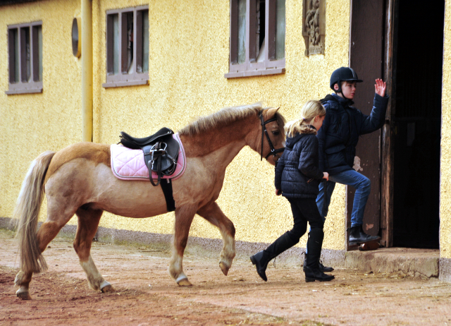 Jasper und Greta im Trakehner Gestt Hmelschenburg