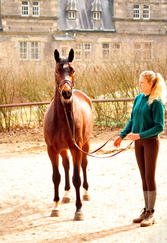 Klassic Summer v. Summertime u.d. Pr.St. Klassic - Trakehner Gestt Hmelschenburg