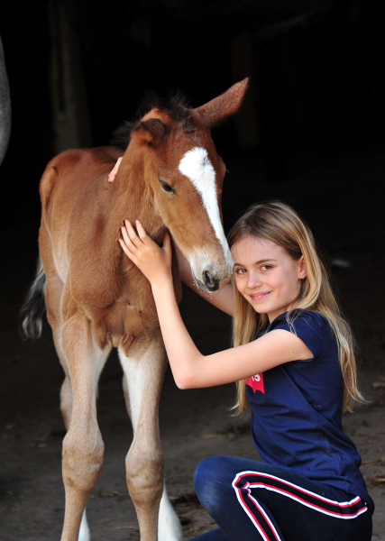 Trakehner Hengstfohlen v. Saint Cyr u.d. Pr.A. TeaCup v. Exclusiv- Foto: Beate Langels - Trakehner Gestt Hmelschenburg