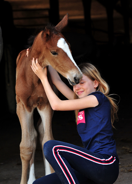 Trakehner Hengstfohlen v. Saint Cyr u.d. Pr.A. TeaCup v. Exclusiv- Foto: Beate Langels - Trakehner Gestt Hmelschenburg