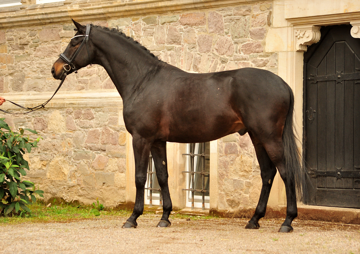 Under Amour v. Saint Cyr im April 2025 - 
Foto: Beate Langels