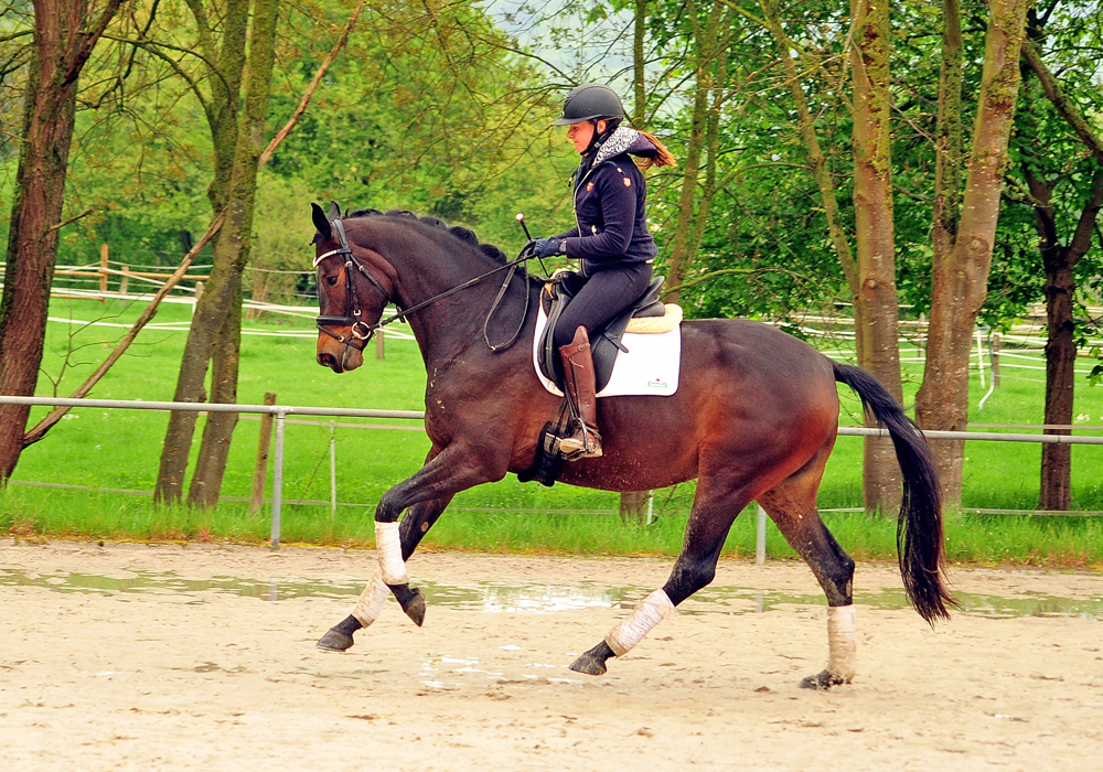 Valentiana v. His Moment x High Motion (4jhrig) im April 2025 - 
Foto: Beate Langels
