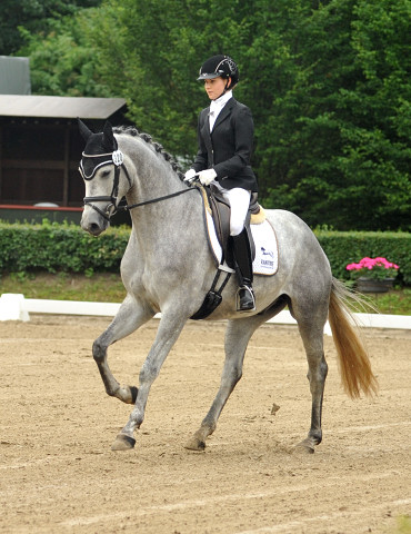 Reitpferdechampion - Perano von Hofrat - Herzzauber (4jhrig) - Foto Beate Langels