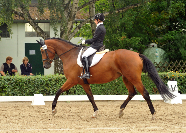 Galathea v. syriano u.d. Pr.St. Gracia Patrizia v. Alter Fritz - Gestüt Schäplitz - copyright Beate Langels, Trakehner Gestüt 
Hämelschenburg