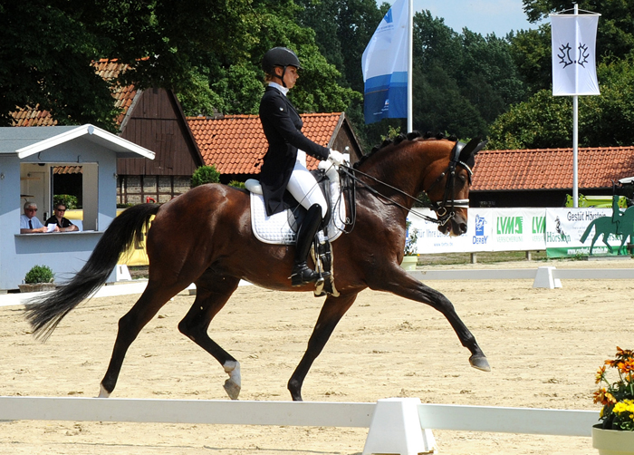High Motion by Saint Cyr and Pia - Fotos: Beate Langels