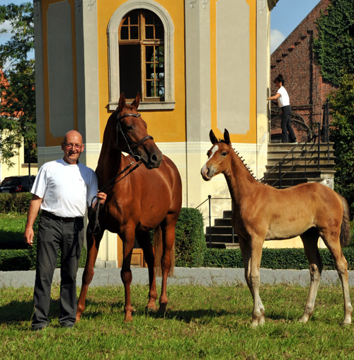 Trakehner Stutfohlen von Freudenfest u.d. Waluna v. Uckermrcker - Helikon xx, Foto: Beate Langels