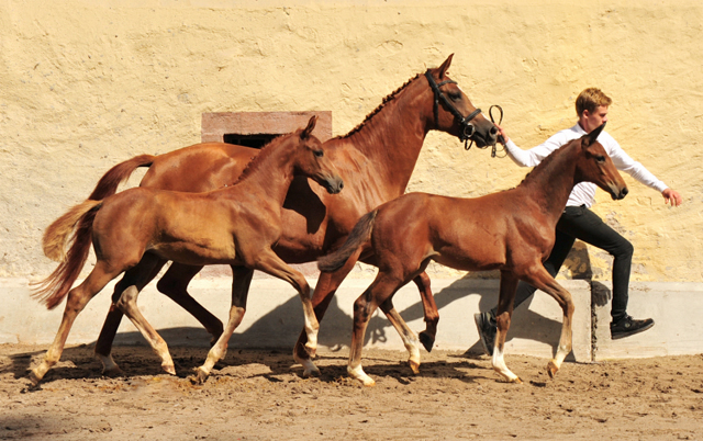 Klassic Motion mit Klassic's Zauberei und Karidia - Foto Langels