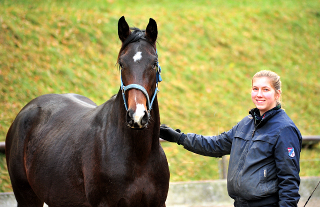 2,5-jhriger Wallach von Saint Cyr u.d. Guendalina