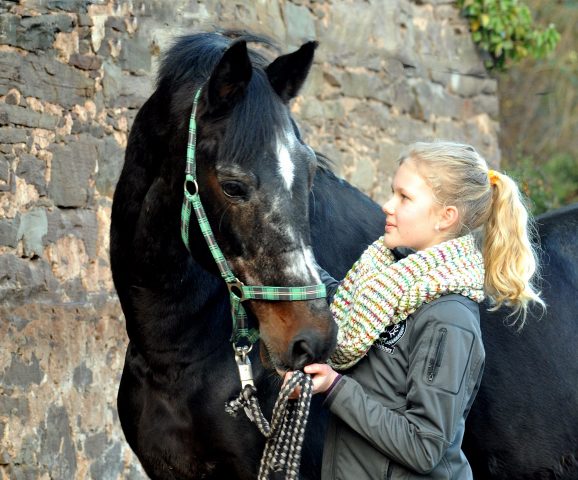 Der Hmelschenburger Trakehner Hengst Exclusiv und der Nikolaus - Foto: Beate Langels - Trakehner Gestt Hmelschenburg