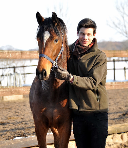 Trakehner Stutfohlen Katniss Everdeen von Saint Cyr u.d. Prmien- und Staatsprmienstute Karena v. Freudenfest - Foto: Beate Langels, Trakehner Gestt Hmelschenburg