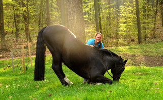 Alter Fritz von Chardonney - Kokoschka - Seeadler und Luisa - Trakehner Gestt Hmelschenburg