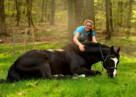 Alter Fritz von Chardonney - Kokoschka - Seeadler und Luisa - Trakehner Gestt Hmelschenburg