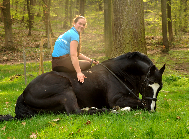 Alter Fritz von Chardonney - Kokoschka - Seeadler und Luisa - Trakehner Gestt Hmelschenburg