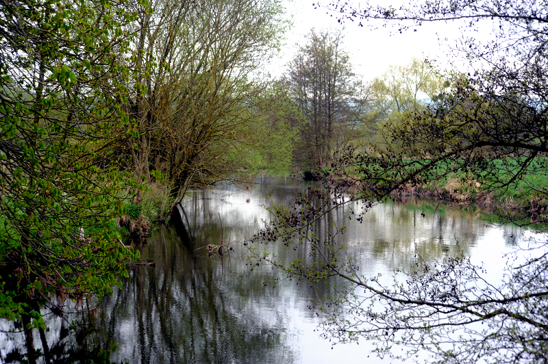 An der Emmer - Gestt Hmelschenburg - Beate Langels