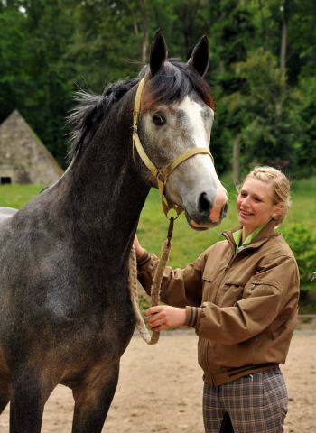 Trakehner Hengst von Saint Cyr u.d. Teatime v. Summertime, Foto: Beate Langels - Trakehner Gestt Hmelschenburg