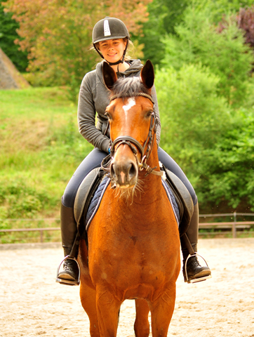  Trakehner Gestt Hmelschenburg - Kabriola v. Freudenfest im Juni 2018 - Foto: Beate Langels