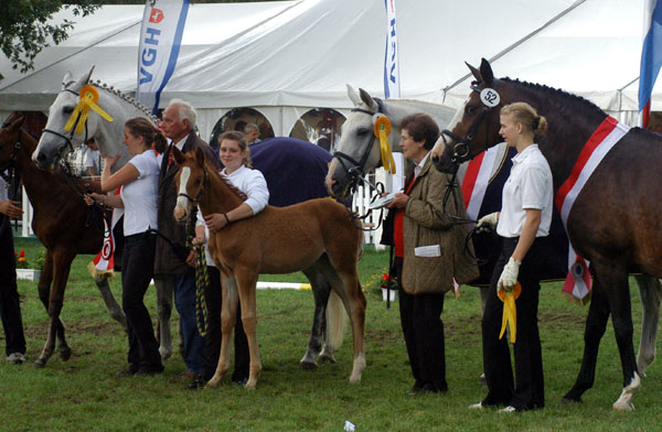 Platz - Foto: Beate Langels Gestt Hmelschenburg