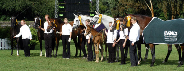 Unsere Teilnehmer der 5. Trakehner Landesstutenschau in Hannover: v.li.n.re: Vittoria, Greta Garbo, Karena, Thalia, Thirza, Tavolara und Guendalina (nicht im Bild Schwalbenfeder)