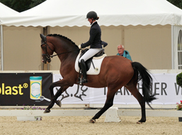 Kacyro v. Saint Cyr - Freudenfest