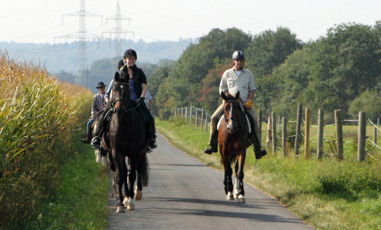 Galileo von Exclusiv - Maestro - Kostolany - Karon, Foto: E. Habert