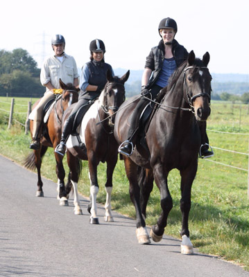 Galileo von Exclusiv - Maestro - Kostolany - Karon, Foto: E. Habert