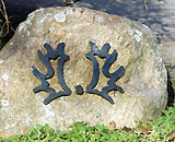 25. Dezbember 2008 im Trakehner Gestt Hmelschenburg