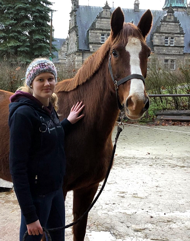 1. Weihnachtsfeiertag 2019 - Trakehner Gestt Hmelschenburg - Beate Langels