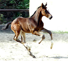 Jahrgang 2010