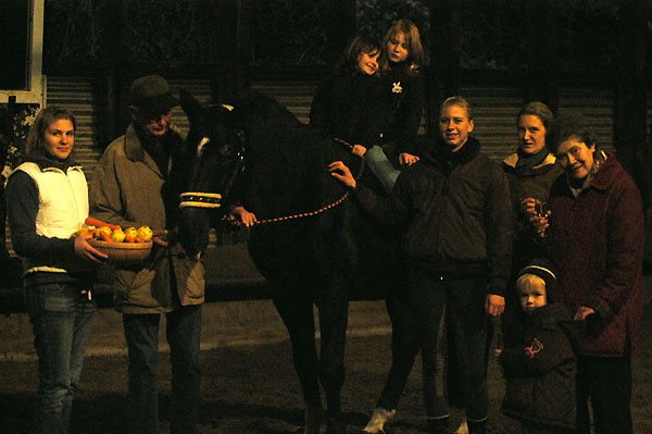 Kostolany am 25. Geburtstag, Trakehner Gestt Hmelschenburg - Beate Langels