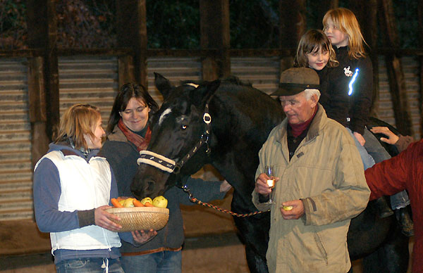 Kostolany am 25. Geburtstag, Trakehner Gestt Hmelschenburg - Beate Langels