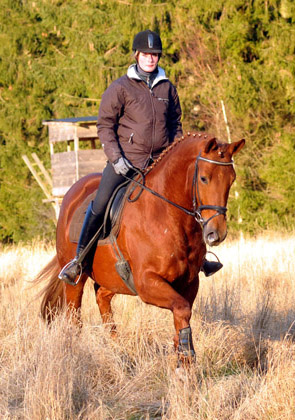 Rivergold von Freudenfest geritten von unserer Auszubildenden Jessica - Foto: Beate Langels - Trakehner Gestt Hmelschenburg