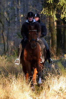 Die Freudenfest-Shne Shavalou und Rivergold - Foto: Beate Langels - Trakehner Gestt Hmelschenburg