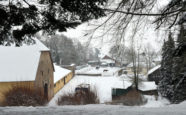 Hmelschenburg am 26. Januar 2014 - Beate Langels