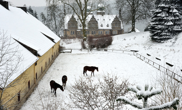 Hmelschenburg am 26. Januar 2014 - Beate Langels