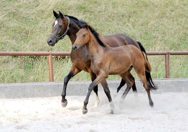 Gabbalina v. Zauberdeyk u.d. Gabbana v. High Motion - Foto: Beate Langels