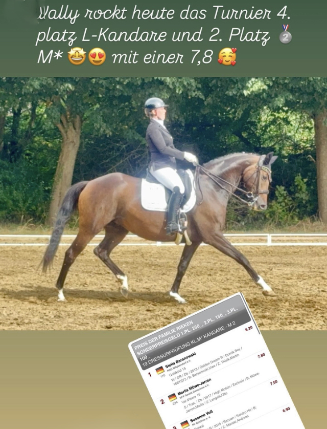 Pr.St. Val d'Isere v. High Motion u.d. Val de Vienne v. Exclusiv  - Gestt Hmelschenburg - Beate Langels