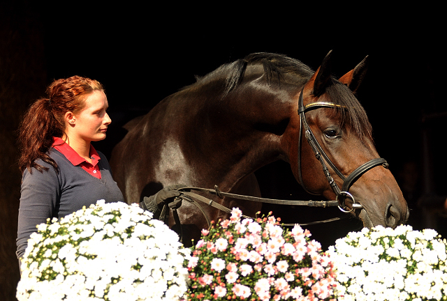 26. September 2015 - Foto Beate Langels - Gestt Hmelschenburg