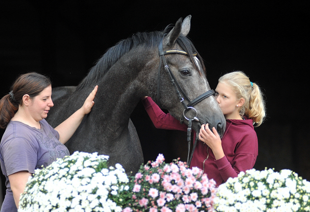 Tea and Sugar von Exclusiv - Foto: Beate Langels, Trakehner Gestt Hmelschenburg