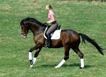 Zinedine Zidane von Summertime und Christina - Foto: Beate Langels