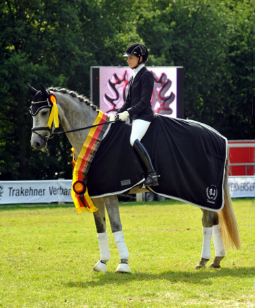 Reitpferdechampion - Perano von Hofrat - Herzzauber (4jhrig) - Foto Beate Langels