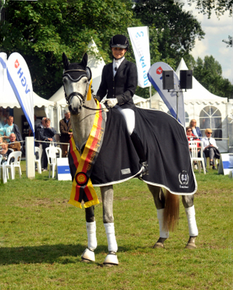 Reitpferdechampion - Perano von Hofrat - Herzzauber (4jhrig) - Foto Beate Langels