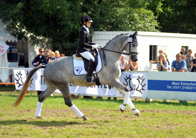 Reitpferdechampion - Perano von Hofrat - Herzzauber (4jhrig) - Foto Beate Langels