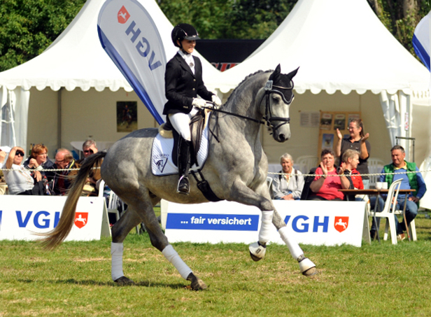 Reitpferdechampion - Perano von Hofrat - Herzzauber (4jhrig) - Foto Beate Langels