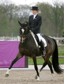 Grand Prix erfolgreich: Starlet von Alter Fritz x Kostolany