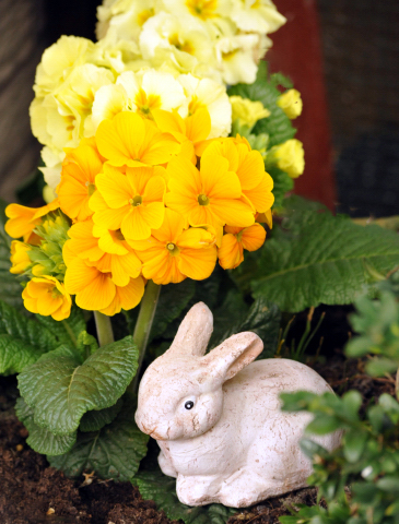 Ostern - Foto Beate Langels