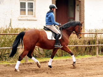  Trakehner Gestt Hmelschenburg - im Mrz 2018 - Foto: Beate Langels